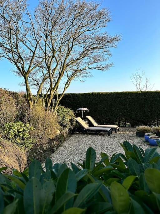 Beachhouse Zonneweelde Noordwijk Luaran gambar